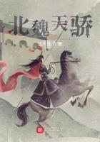 北魏天兴
