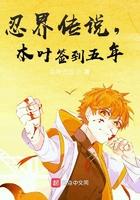 木叶传说之忍者外传