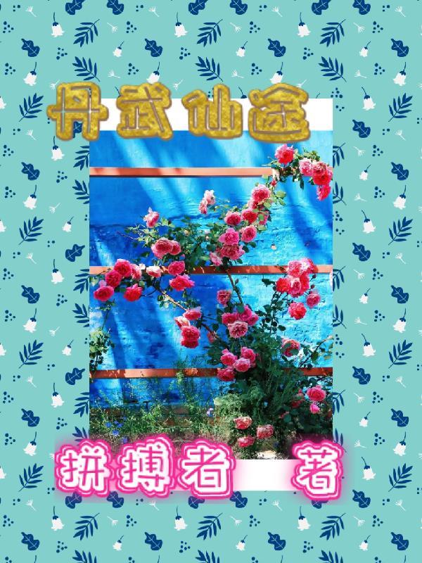 丹武仙帝等级划分