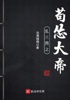 三国之大乱炖系统