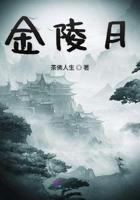 金陵月华房价会涨吗