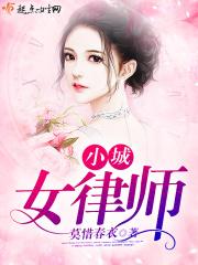 上海市小城律师事务所
