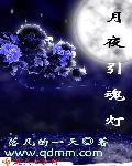 月夜引魂灯txt百度