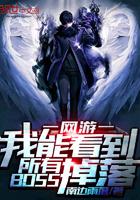 我能看见所有boss掉落