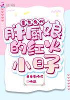 重生之胖厨娘的红火小日子