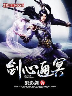 剑心通冥中叶凡会什么功法