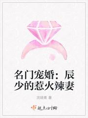 辰少的惹火小蛮妻