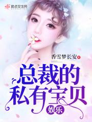 总裁的私有宝贝类型