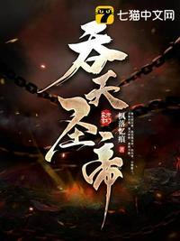 吞天圣帝TXT奇书网