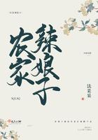 农家辣娘子异能