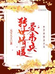 转世情缘