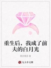 重生后我成了前夫的白月光木宿