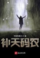补天码农无弹窗