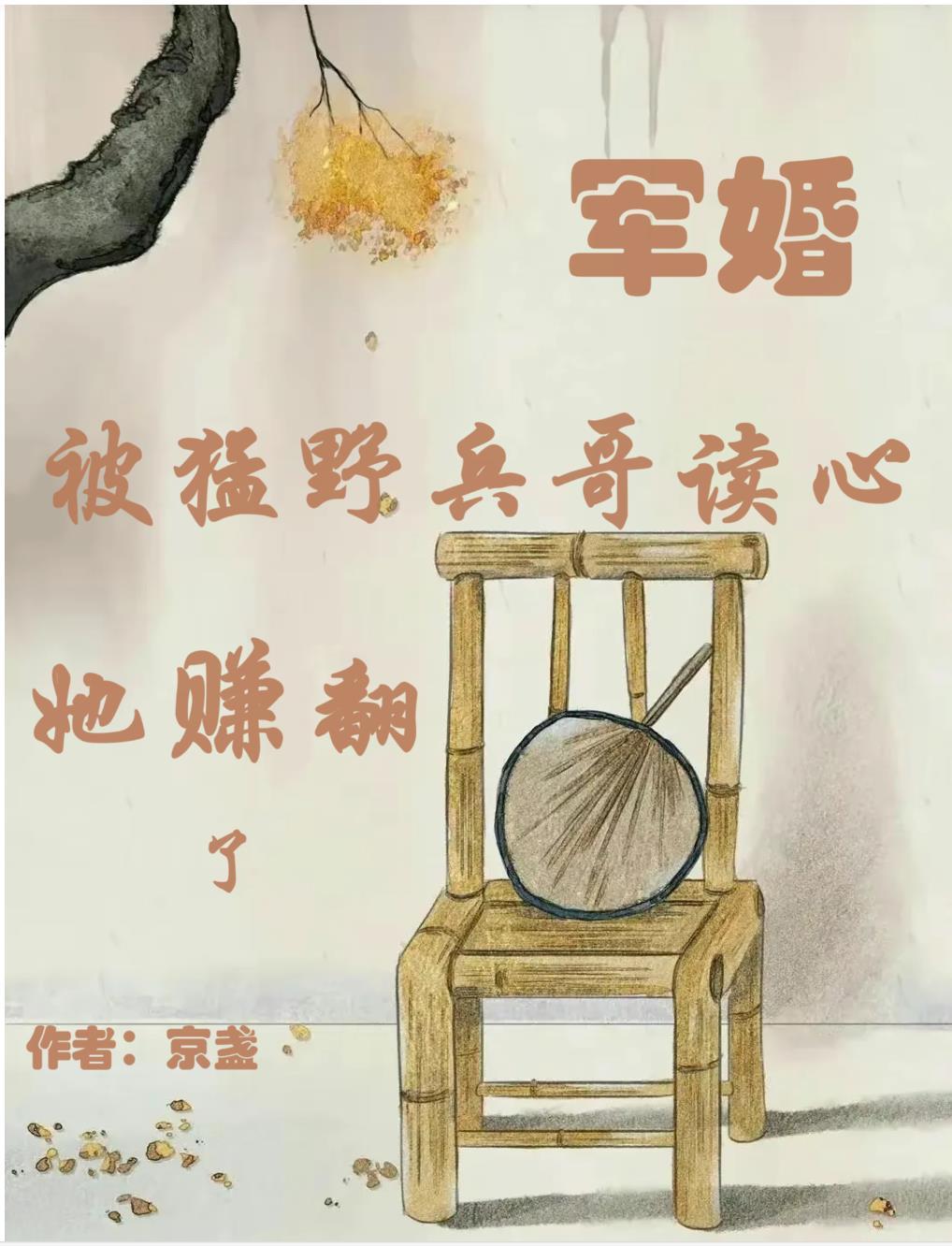 她赚翻了 作者京盏