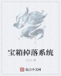 宝箱怪掉落物品的获取方式