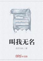 我无名份什么歌