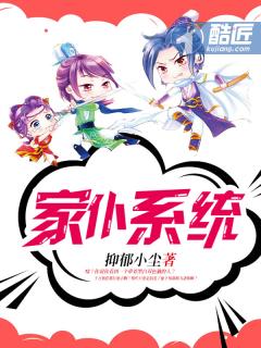 系统家庭