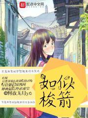 如飞似箭的意思