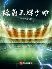绿茵王牌9号123