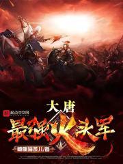 大唐火枪