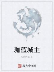 伽蓝美城