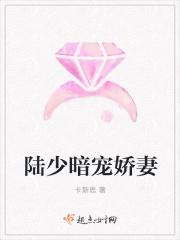 陆少宠妻太甜蜜 免费阅读