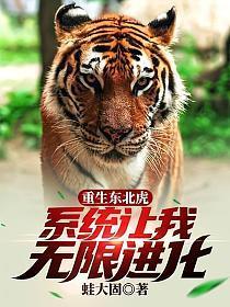 系统让我无限进化最新章节