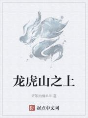 龙虎山上清阁的店可靠么