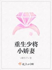 重生之少将萌妻全文阅读