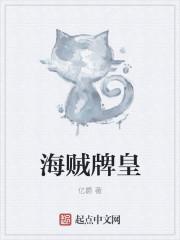 海贼牌皇 第363章