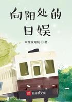 向阳处的日娱无防盗