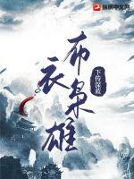 布衣枭雄短剧合集