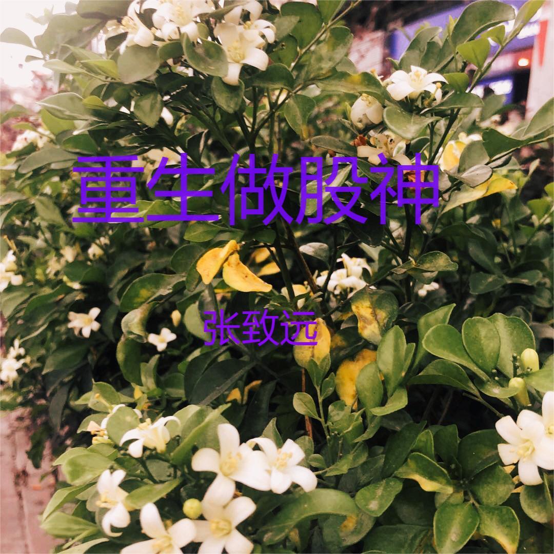 重生之金融巨子归来免费阅读