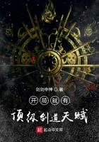 开局拥有剑道最强体质只要擦剪就可