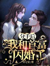 分手后我和首富闪婚了短剧