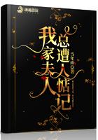 我家夫人什么意思