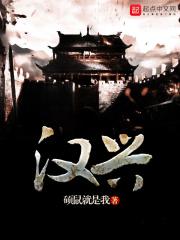 汉兴以来始置官翻译