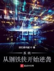钢铁侠系统