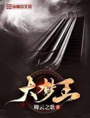 大梦王小书包在线观看