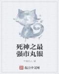 死神最强之冰免费