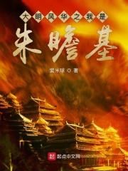 大明风华之我是朱瞻基的次子笔趣阁