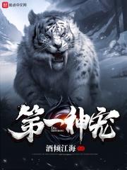 第一宠