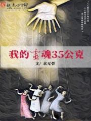 我的灵魂是什么意思