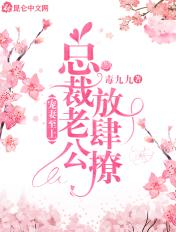 第一婚宠陆爷撩不停免费阅读
