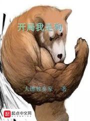 开局我是狗 大镲独奏家