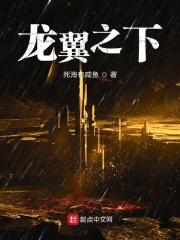 龙之翼什么意思