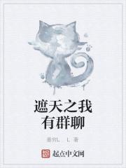 遮天聊天系统