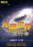 无限世界旅行者无错版