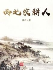 西北地区的农耕区