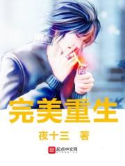 完美重生在线阅读